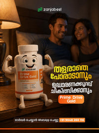 Prime Drive Gold image 2